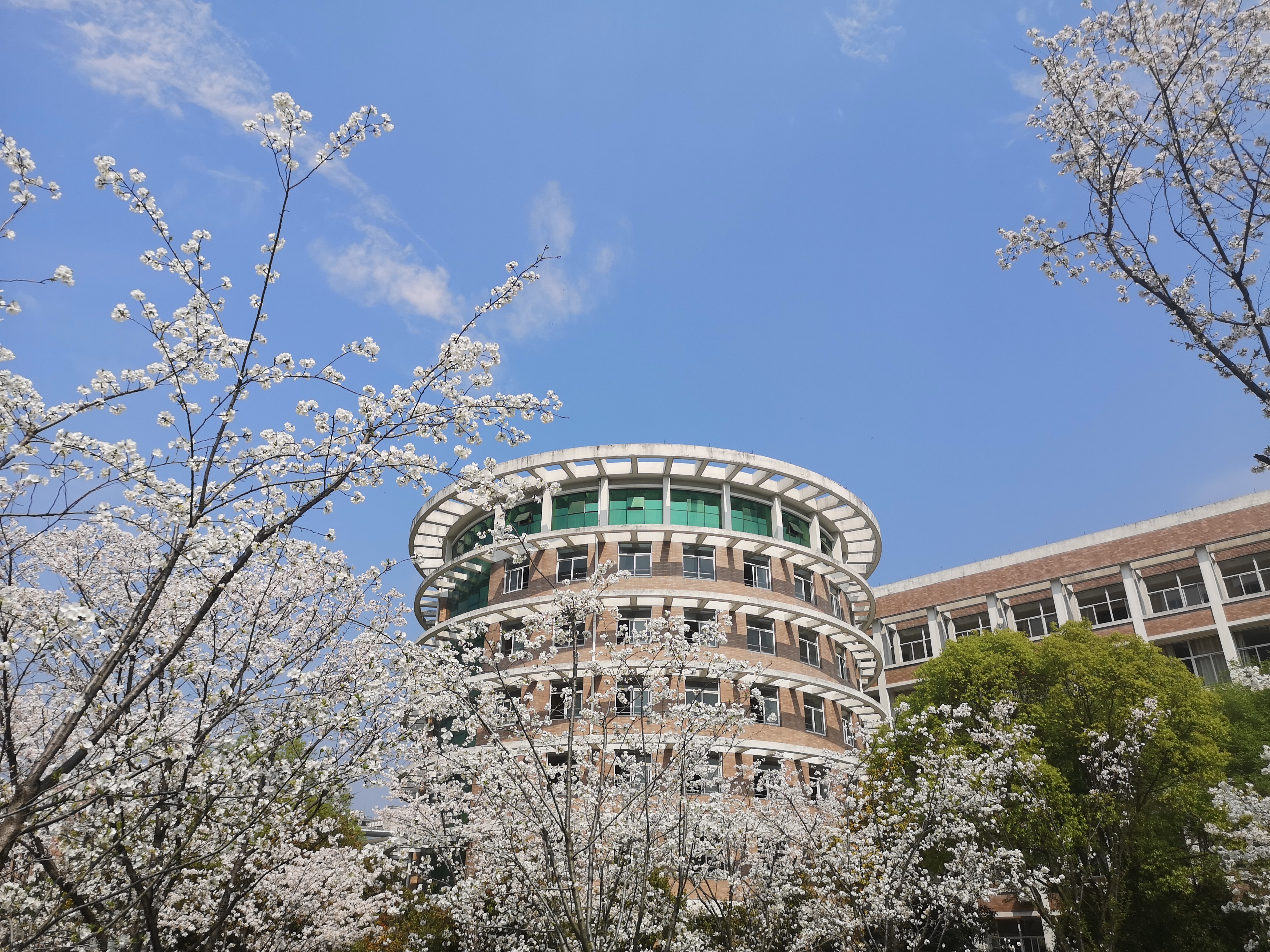 谷雨天下国宴酒图片