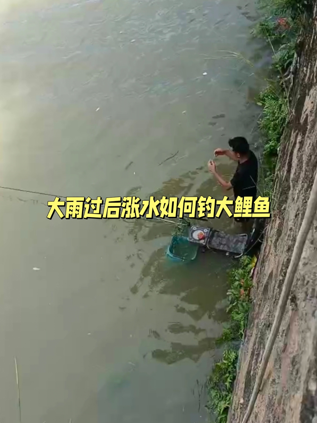 雨季江河大雨过后第二天最好钓大鲤鱼.