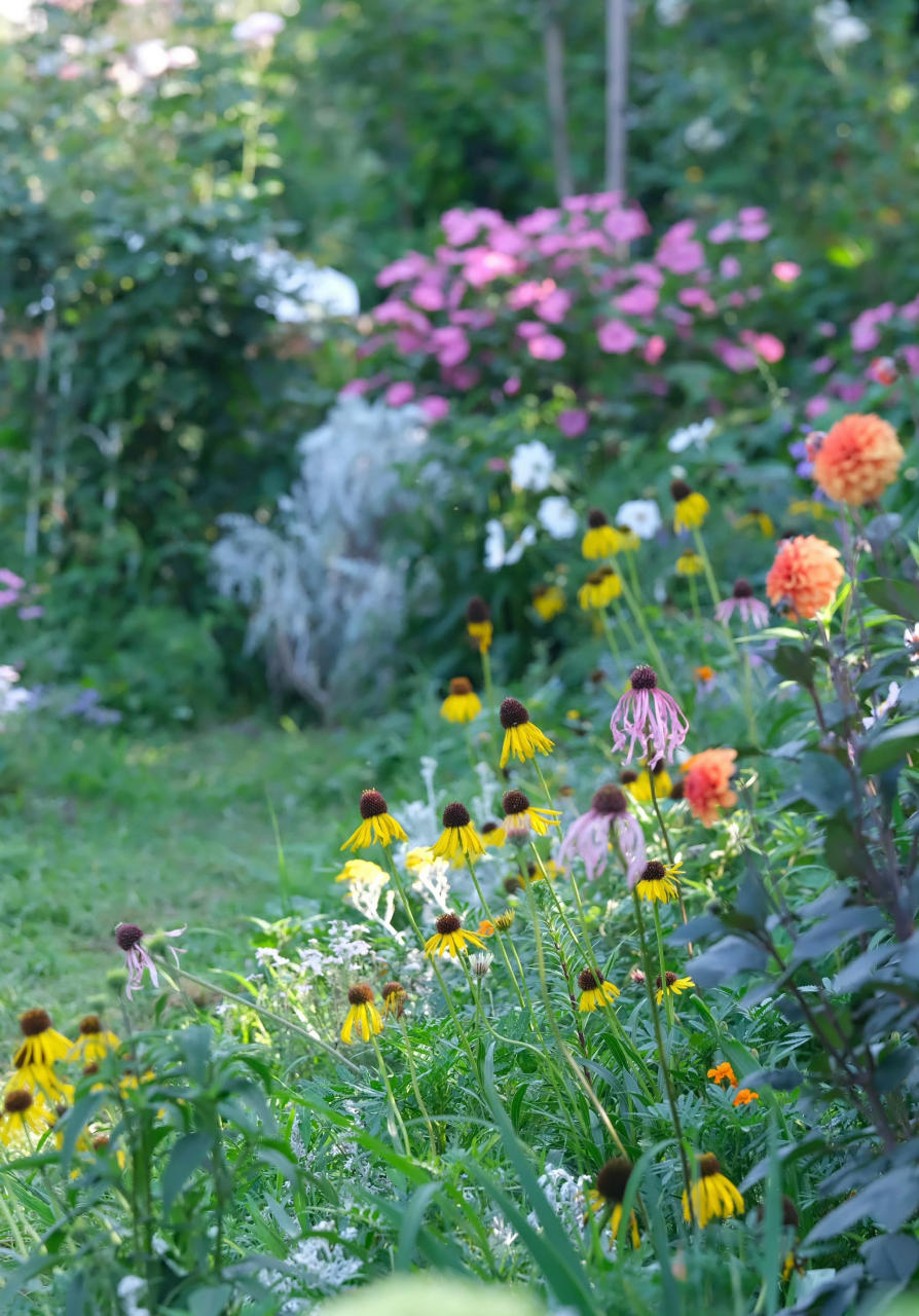 在暗处执着生长,终有一日馥郁传香.