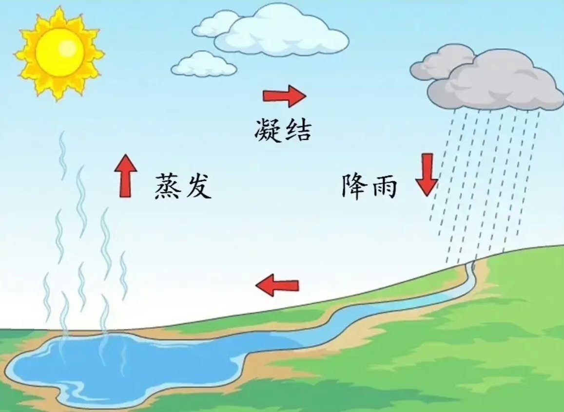 每天学点新知识    雨是怎么形成的呢?