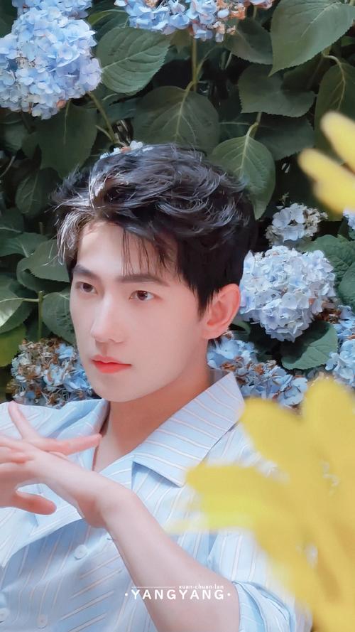 女生心中的白月光一一杨洋