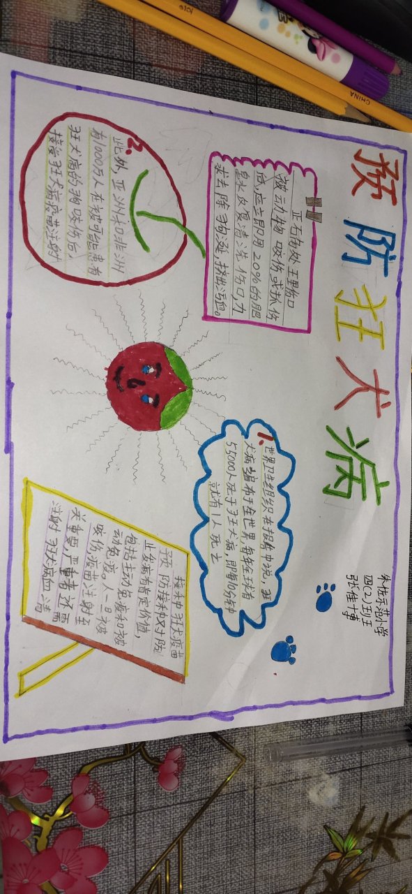 疫苗接种手抄报预防狂犬病手抄报