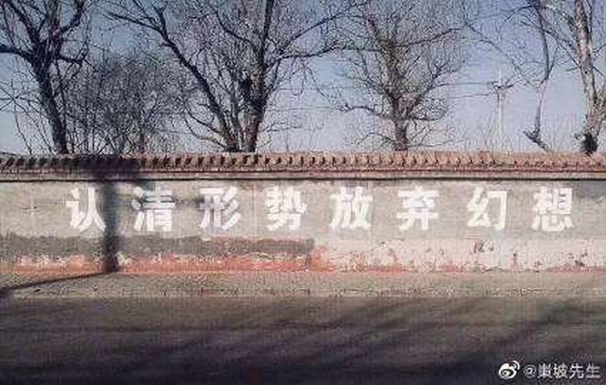 your immaturity brings me great pain