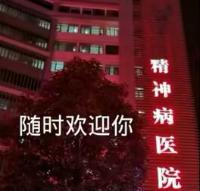 迷你玩家应该去的地方