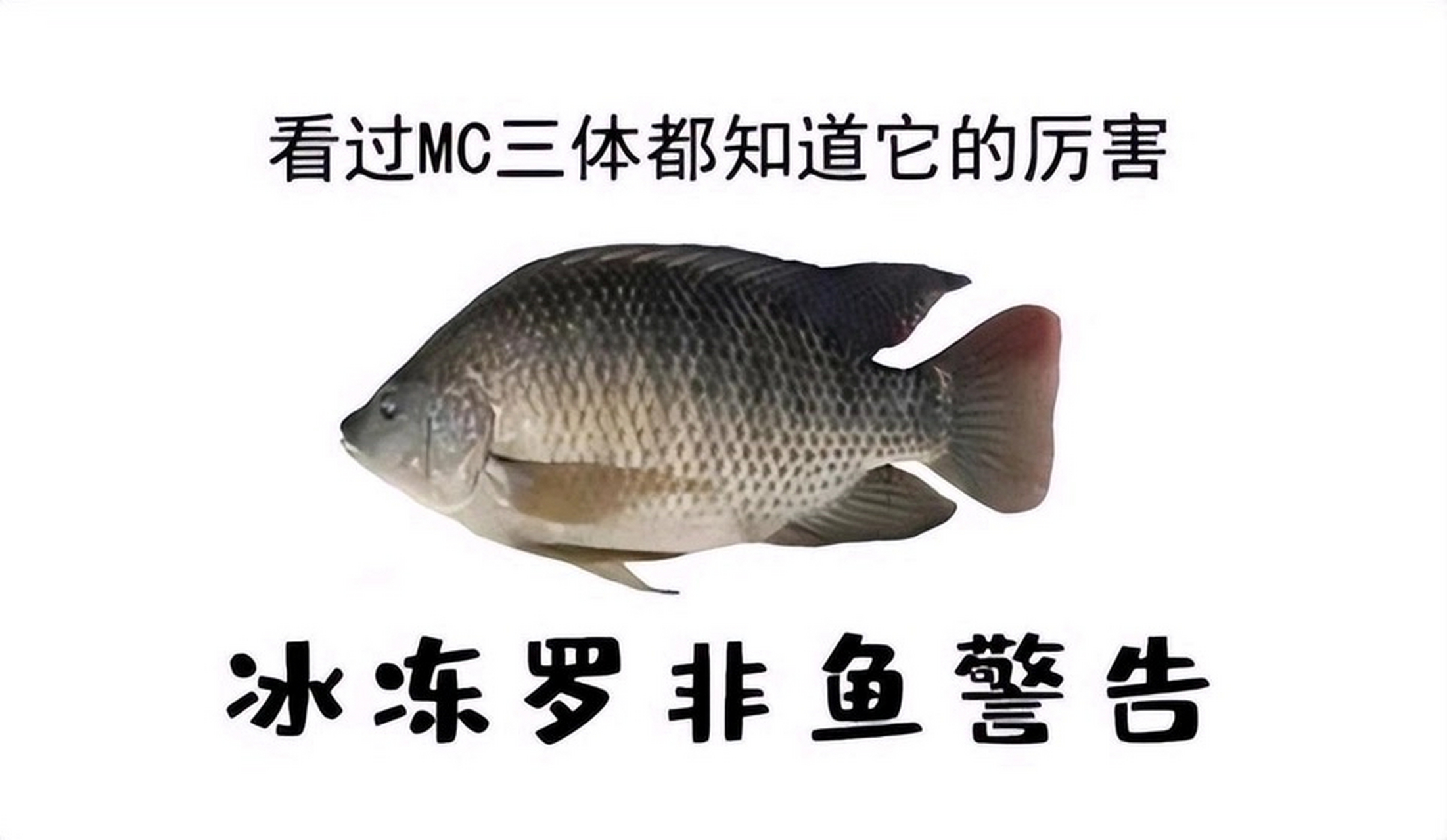 看了三体才懂的梗#三体电视剧