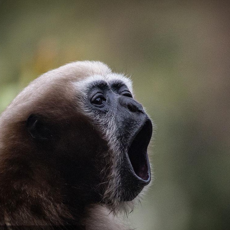 用心灵温暖心灵