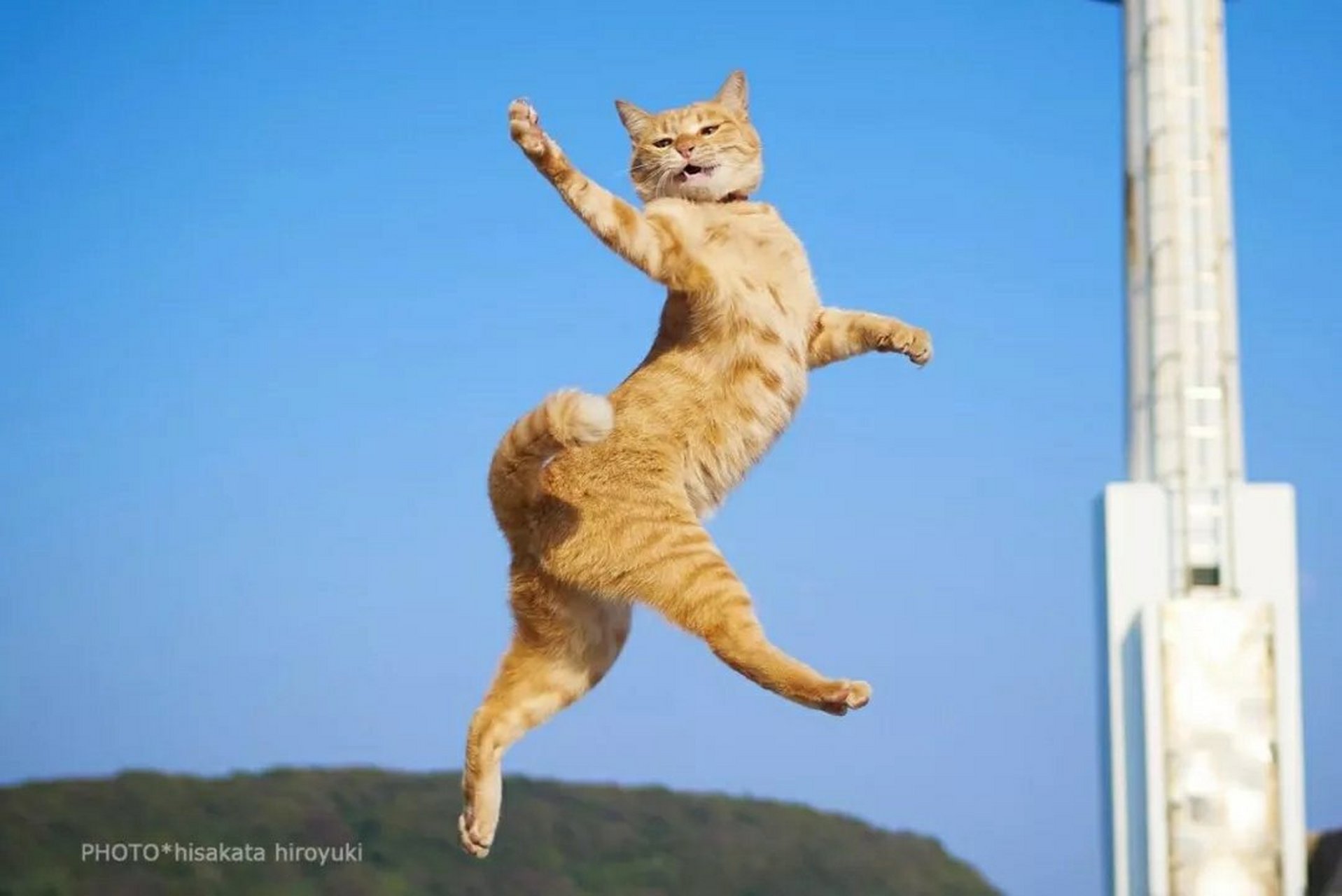 人不狠,站不稳.该留的留,该滚的滚. 话少说,事多做.