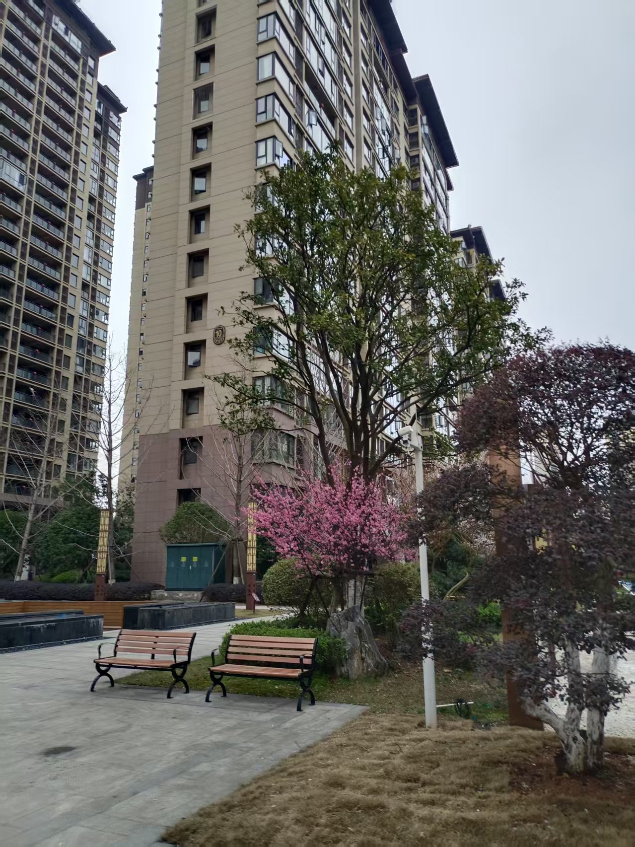 岳母来家里一段时间了,岳母有很多基础病,患有高血