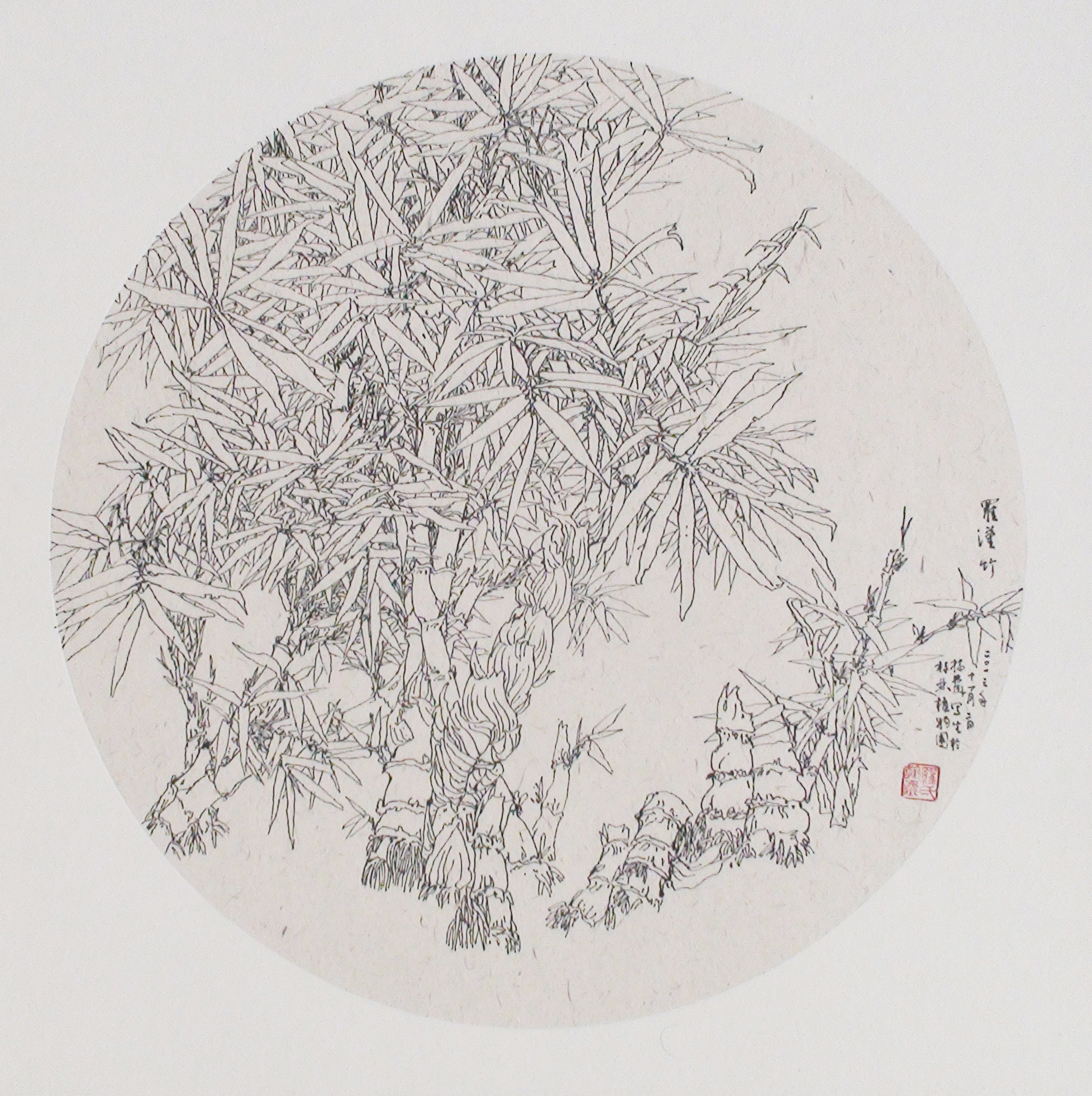 2014年在桂林中科院植物园线描写生作品