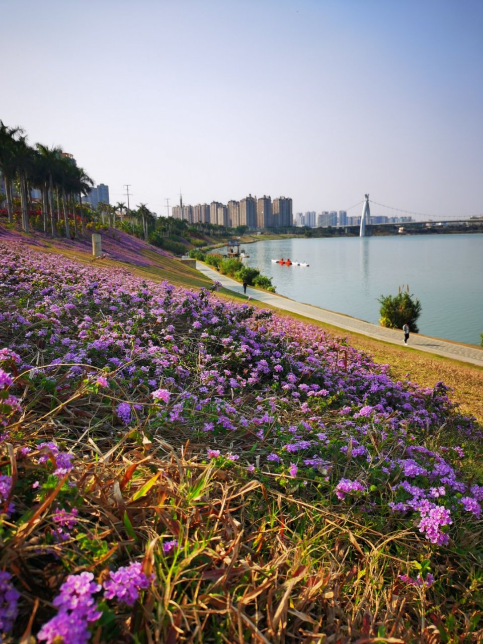 百里邕江美如画,南宁邕江河堤两岸建设得很美,骑行赏风景好去处.