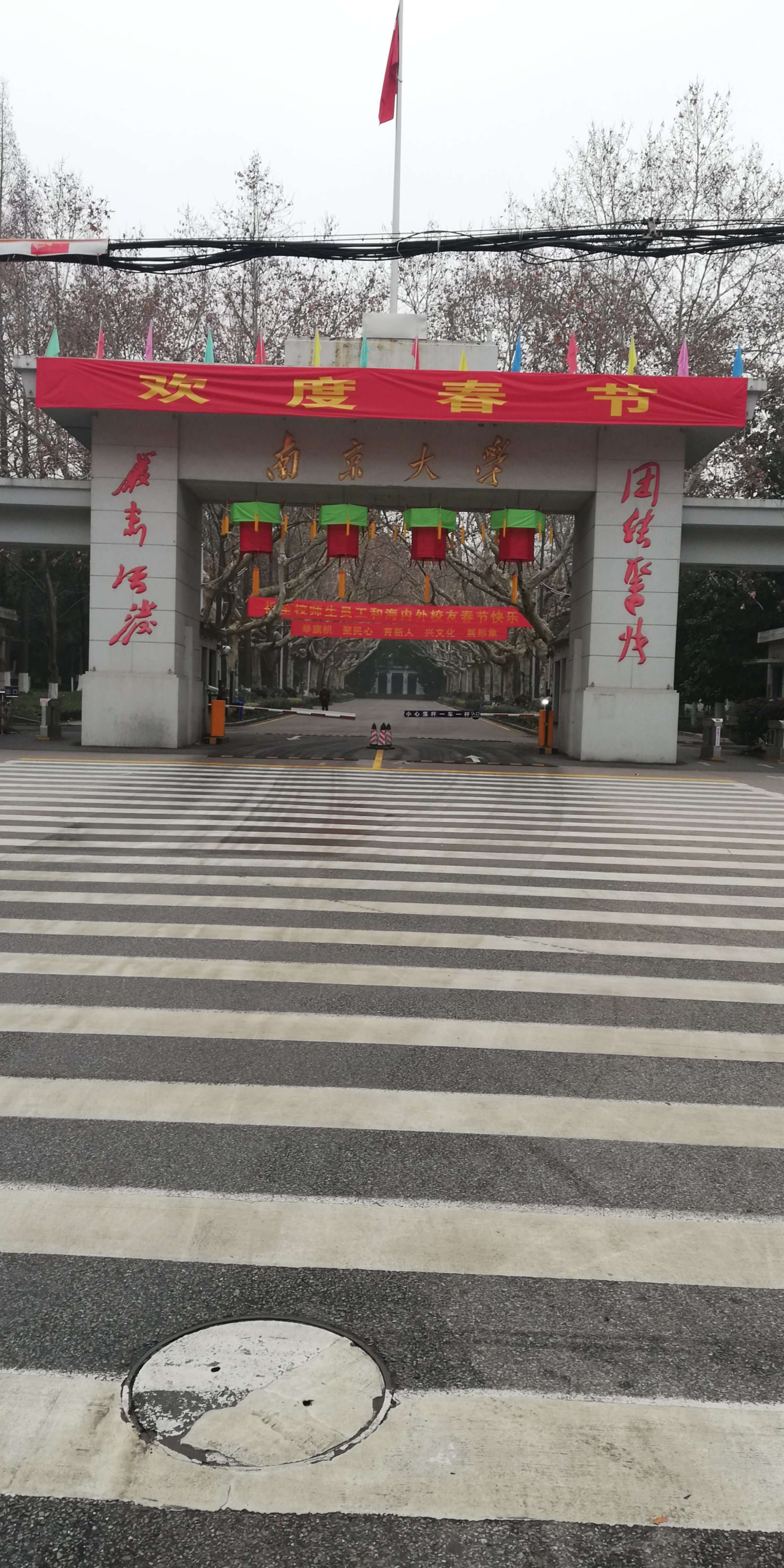 南京大学老校区图片