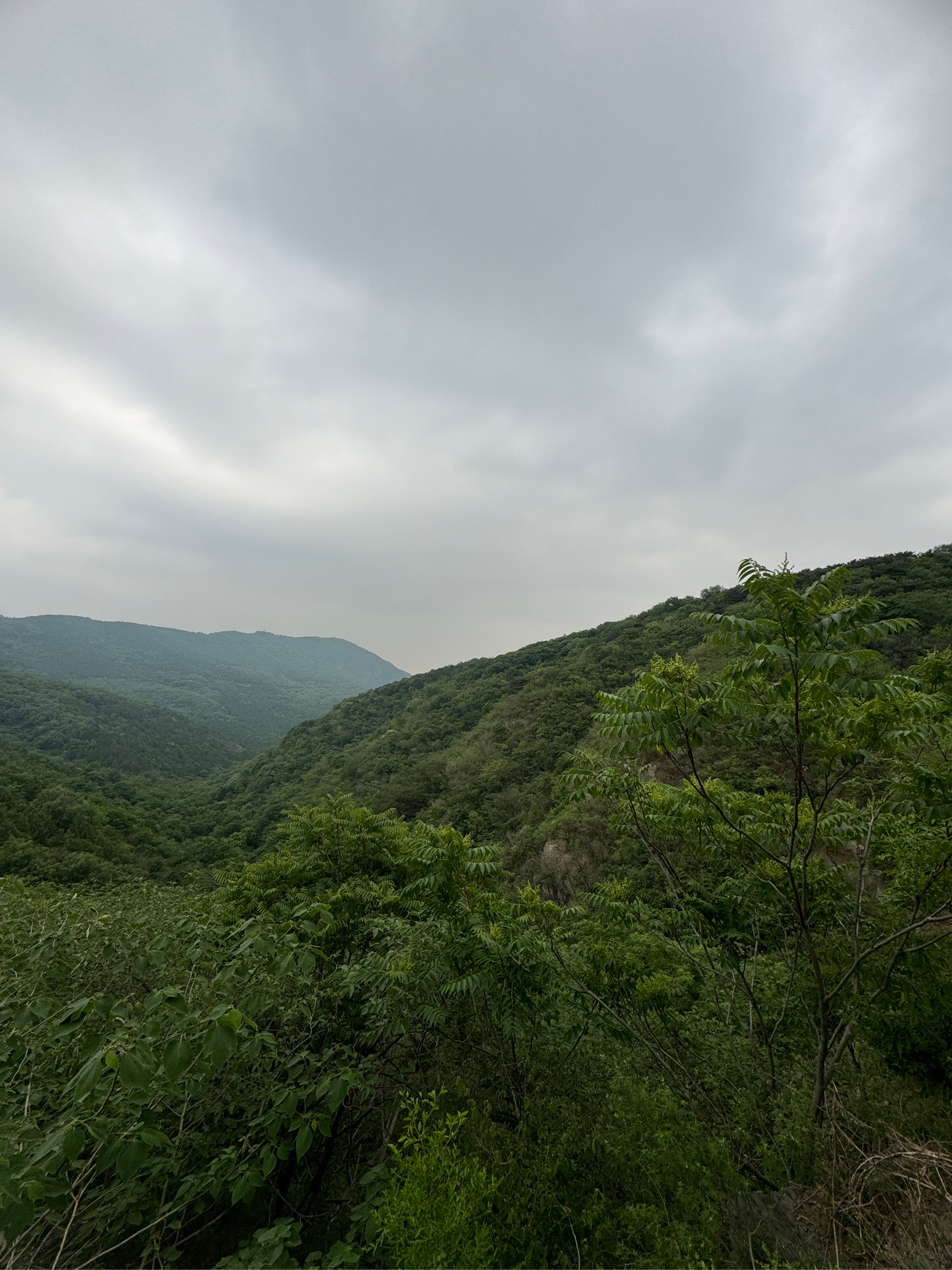 香山樱桃沟景区图片