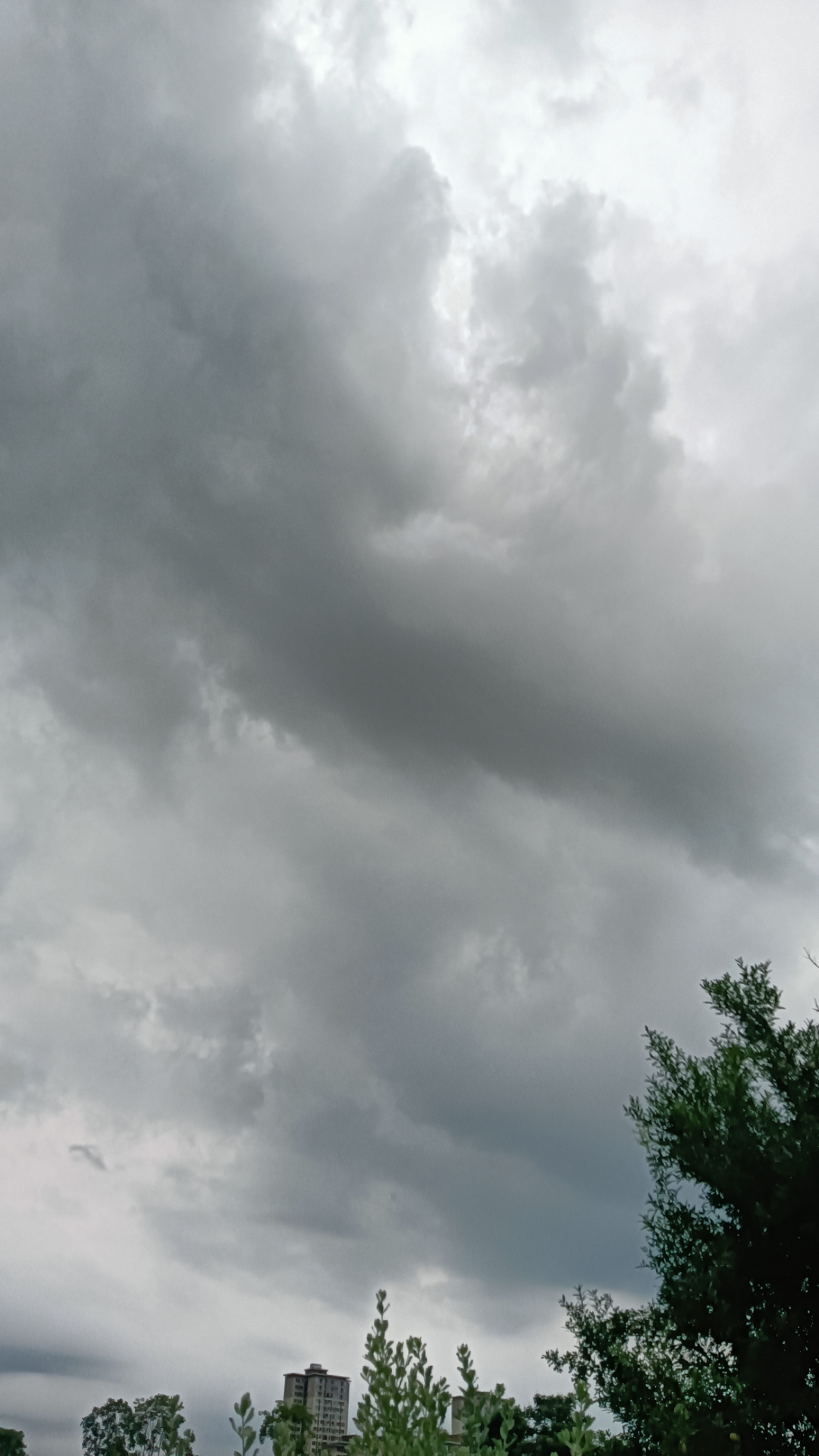 风雨欲来,天空布满了滚滚乌云,鸟儿也惊悚着飞离了.