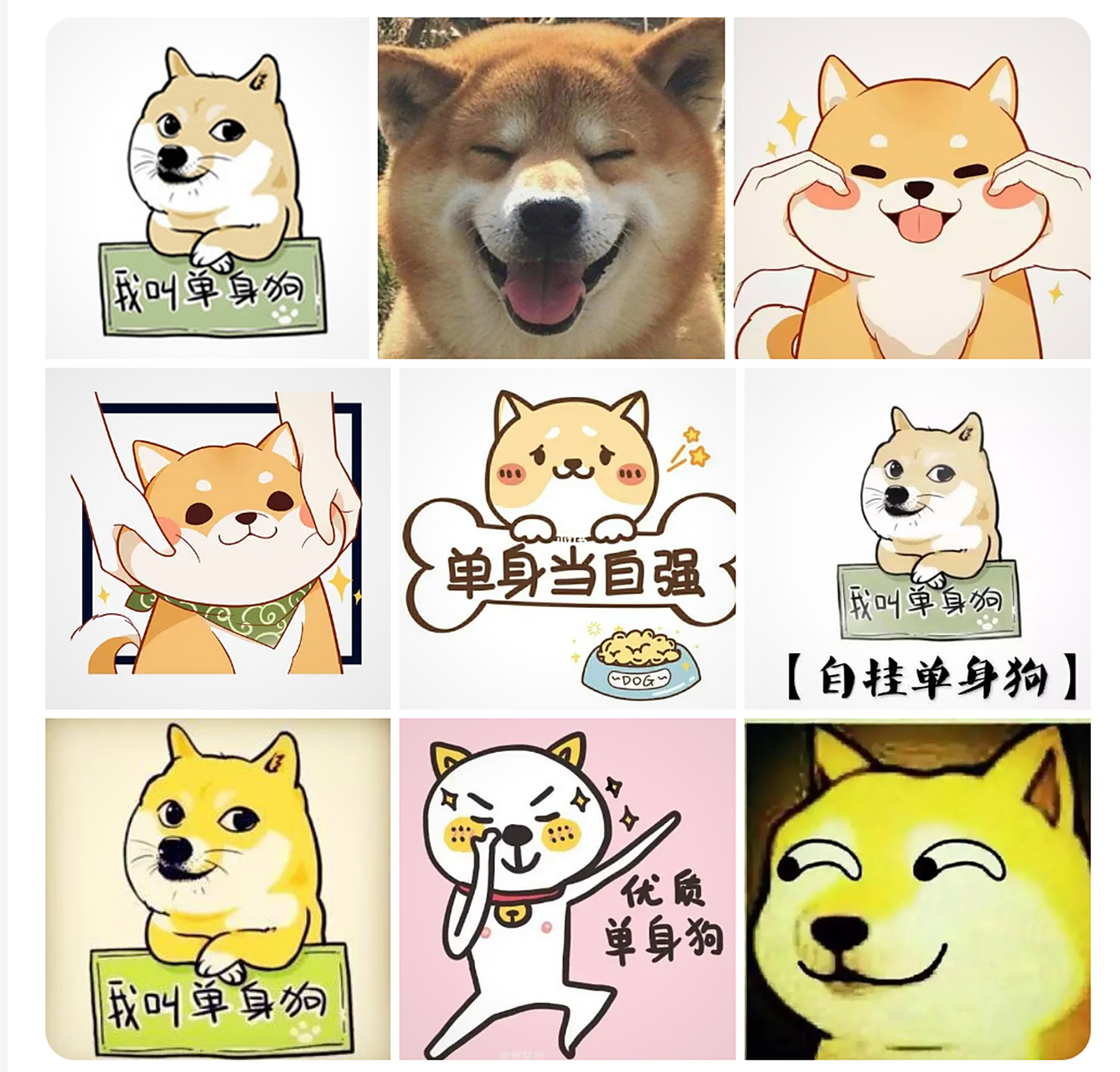 头像头像 单身狗专属头像,大家快来领