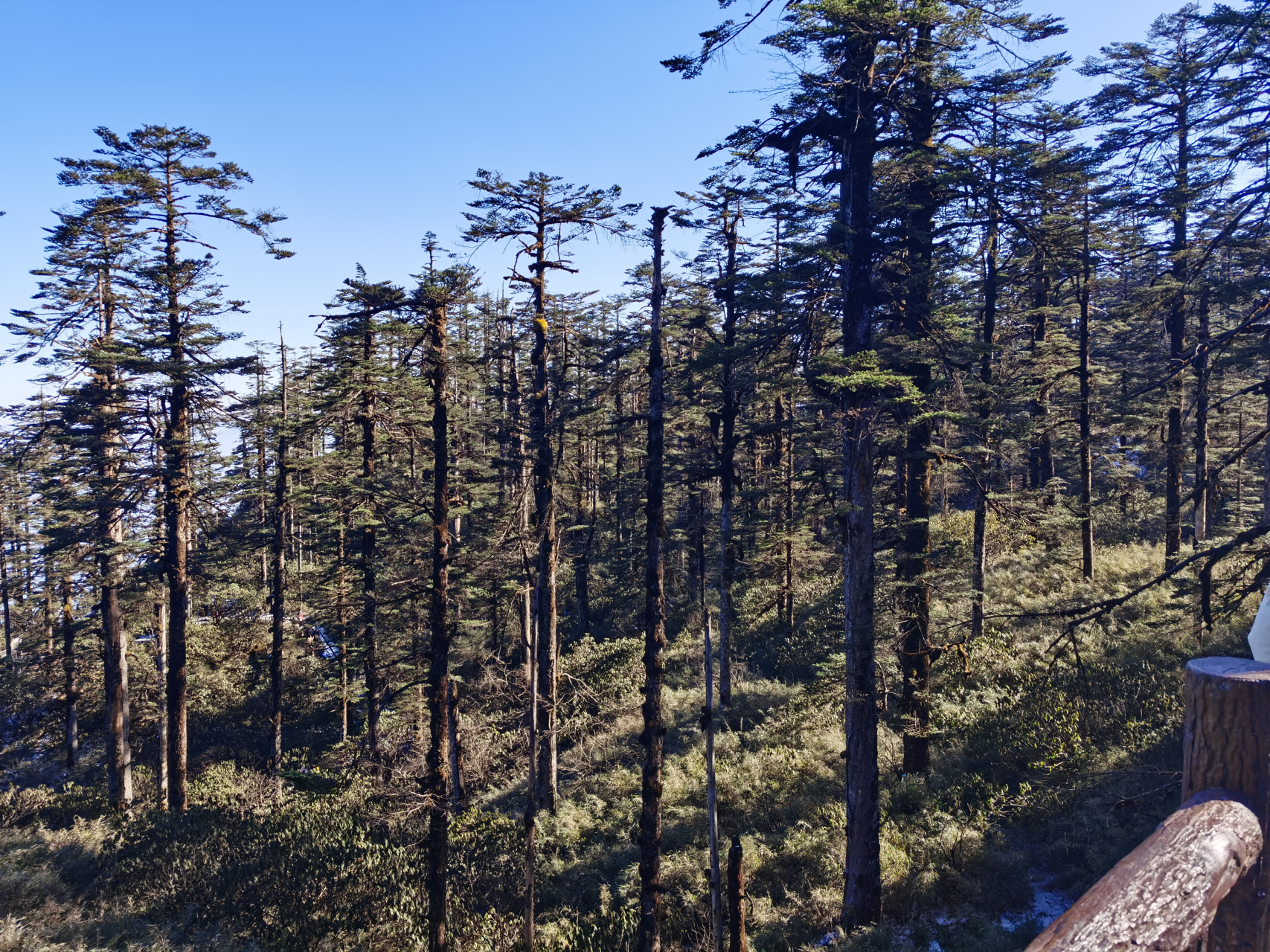 瓦屋山山顶图片图片