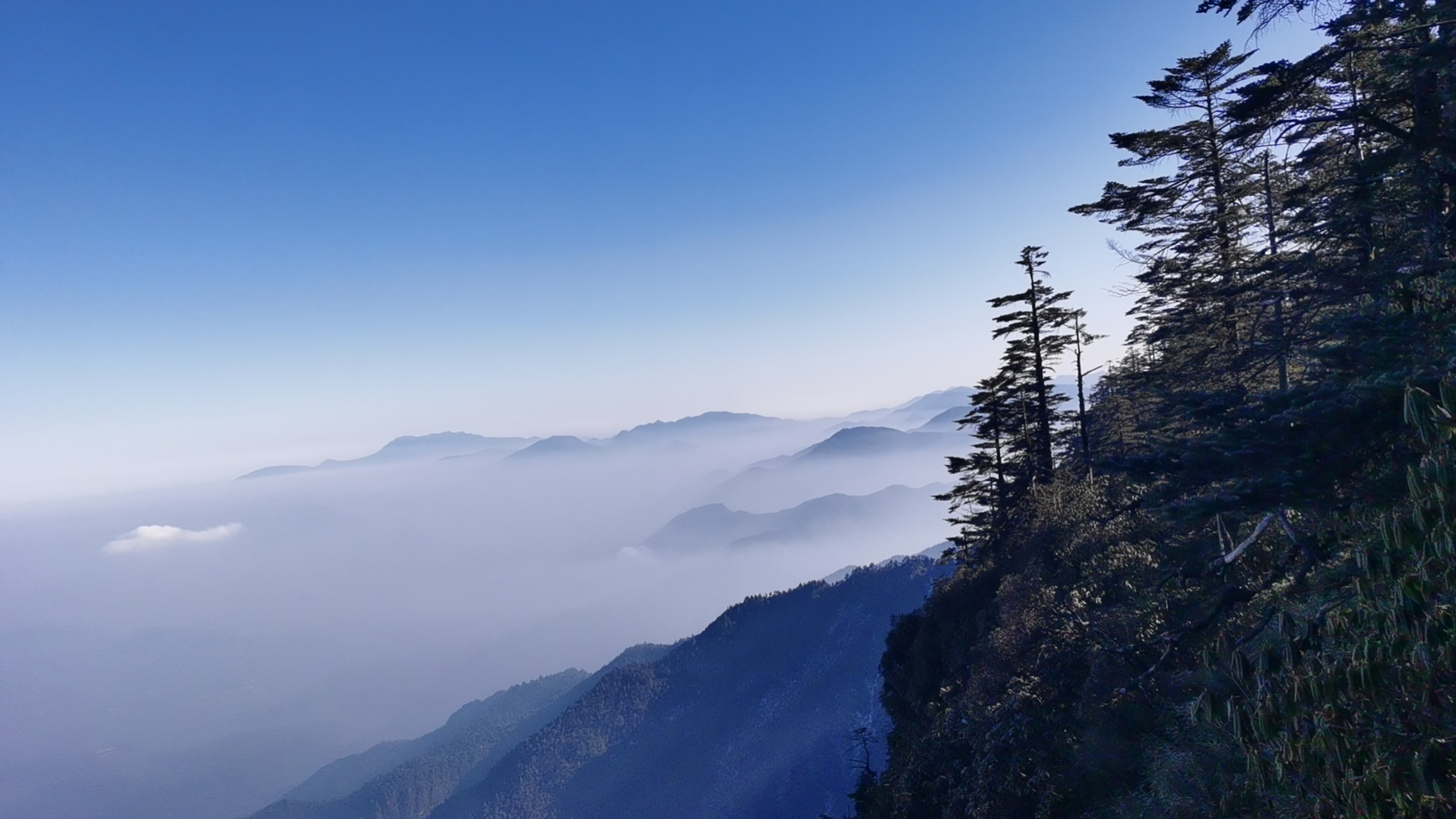 瓦屋山山顶图片图片