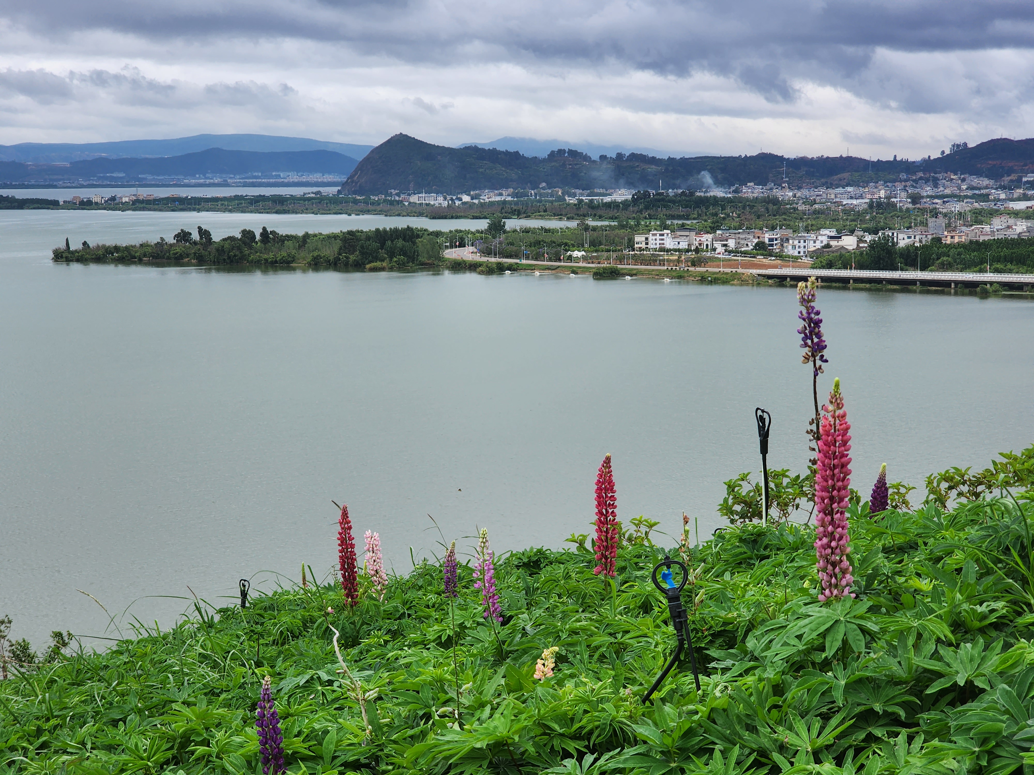 乌合之众在网络上普遍存在,必须有超强的辨别能力,不可偏听偏信.