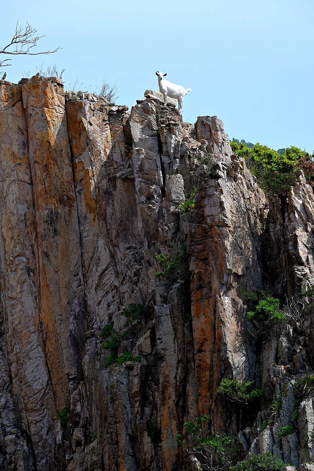 花岙岛石林,高耸接蓝天.#摄影爱好者联盟