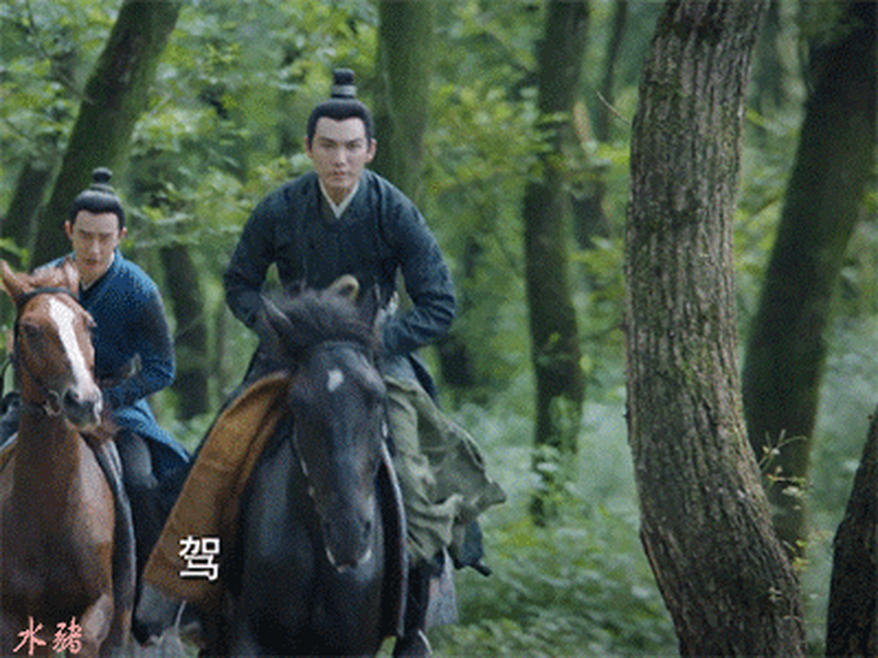 《锦心似玉》宜家宜国徐令宜,策马奔驰,飒爽英姿,挽马射箭,行云流水