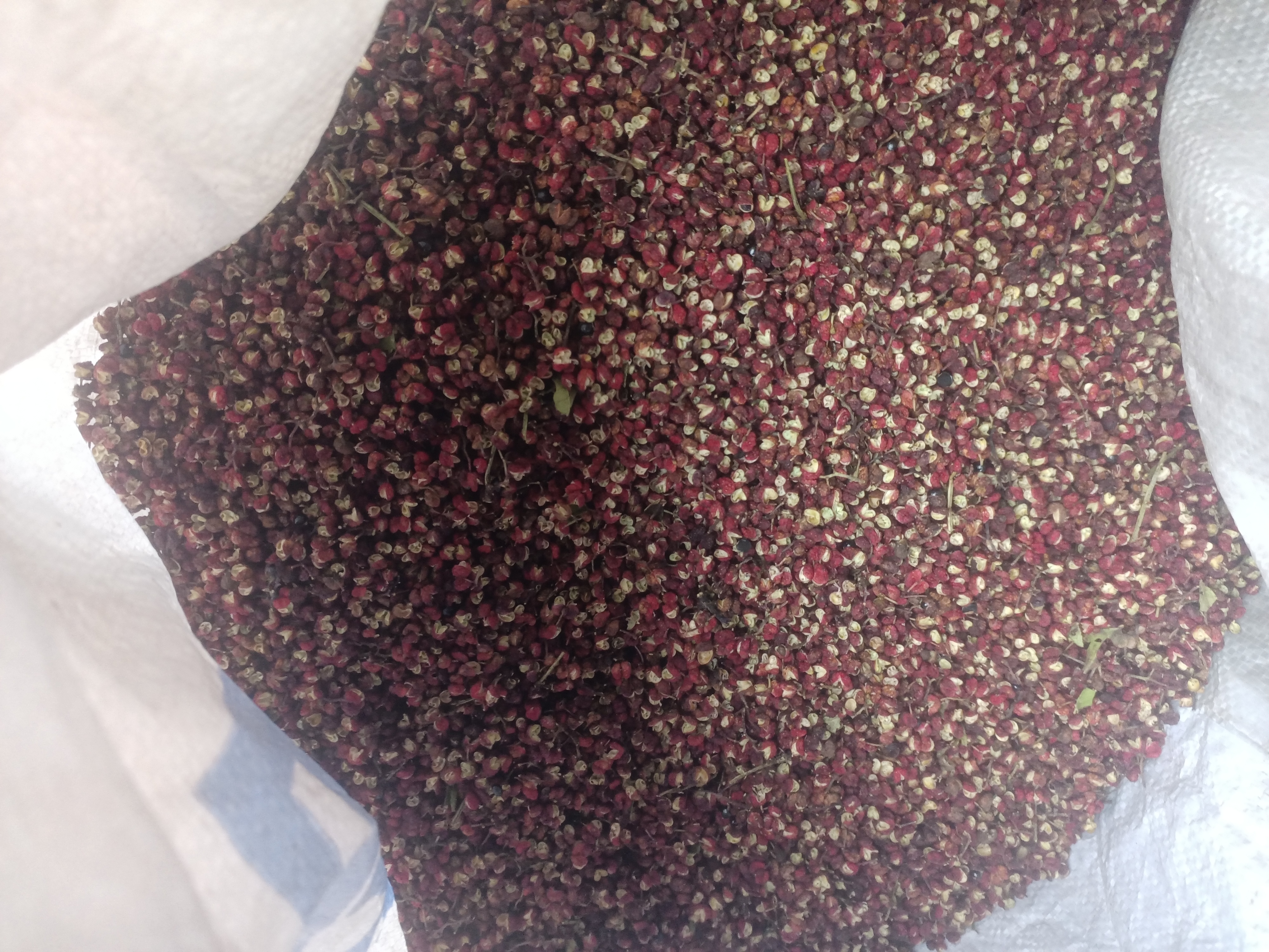 最正宗的红花椒干的