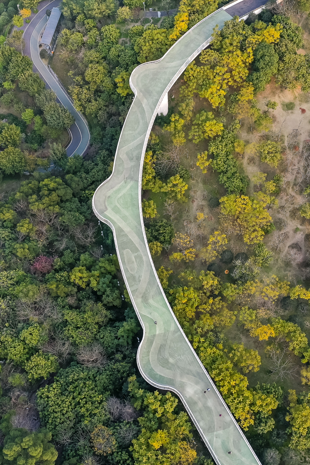 福州飞凤山奥体公园图片