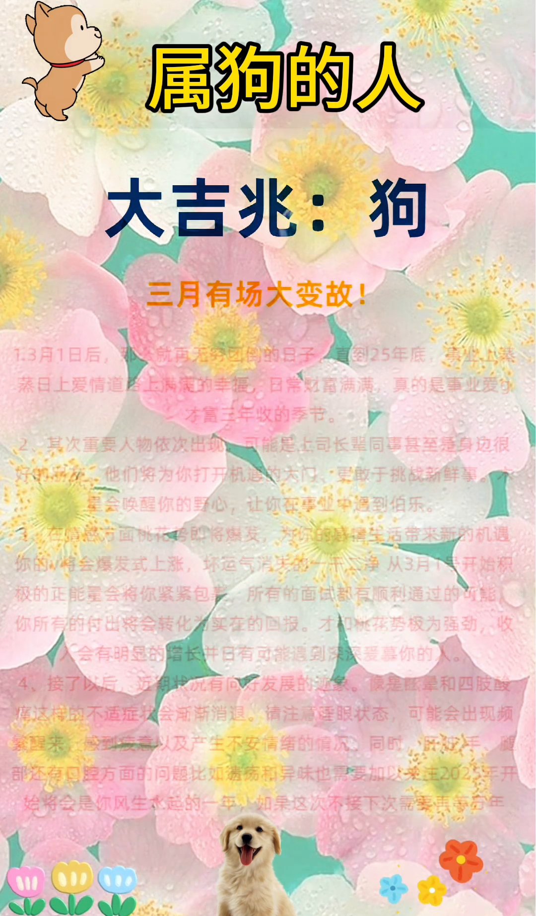 明日运势生肖女狗(明日运势生肖女狗命运如何)