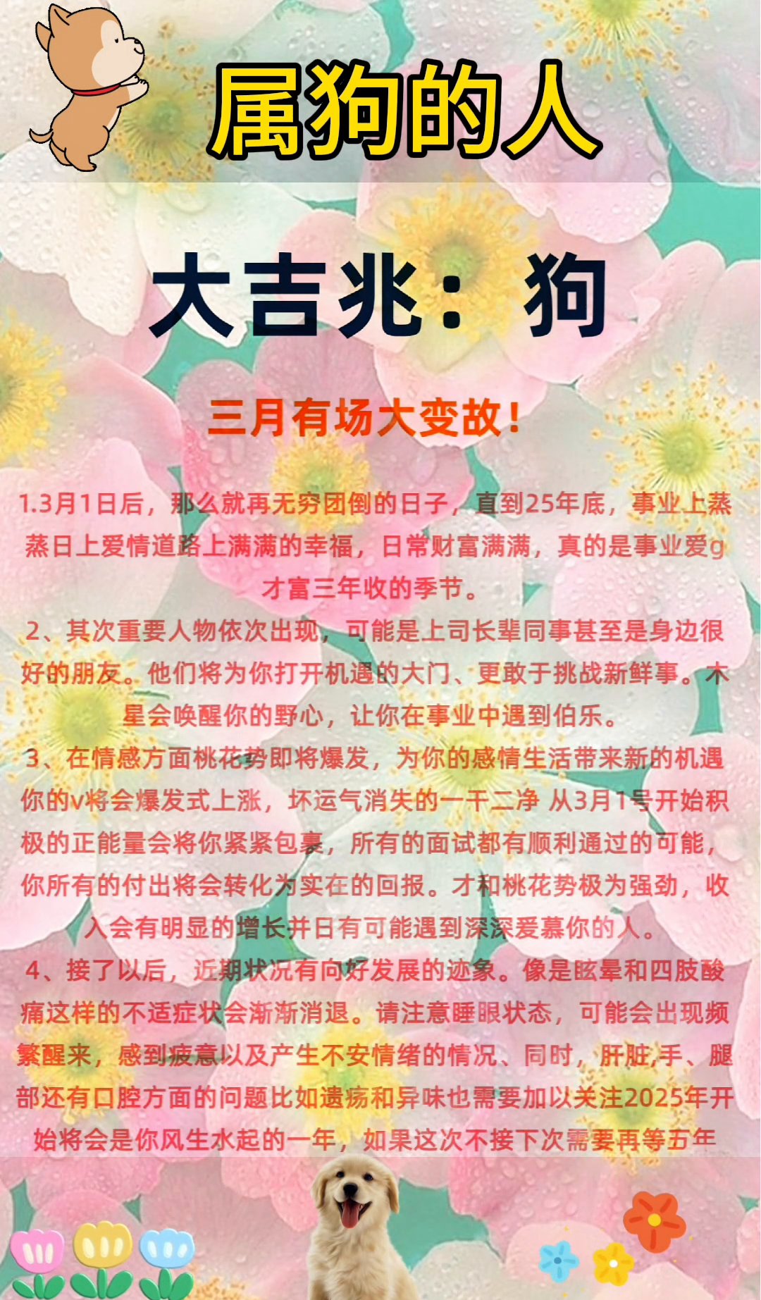 生肖狗牛牛运势如何呢(生肖狗牛年)