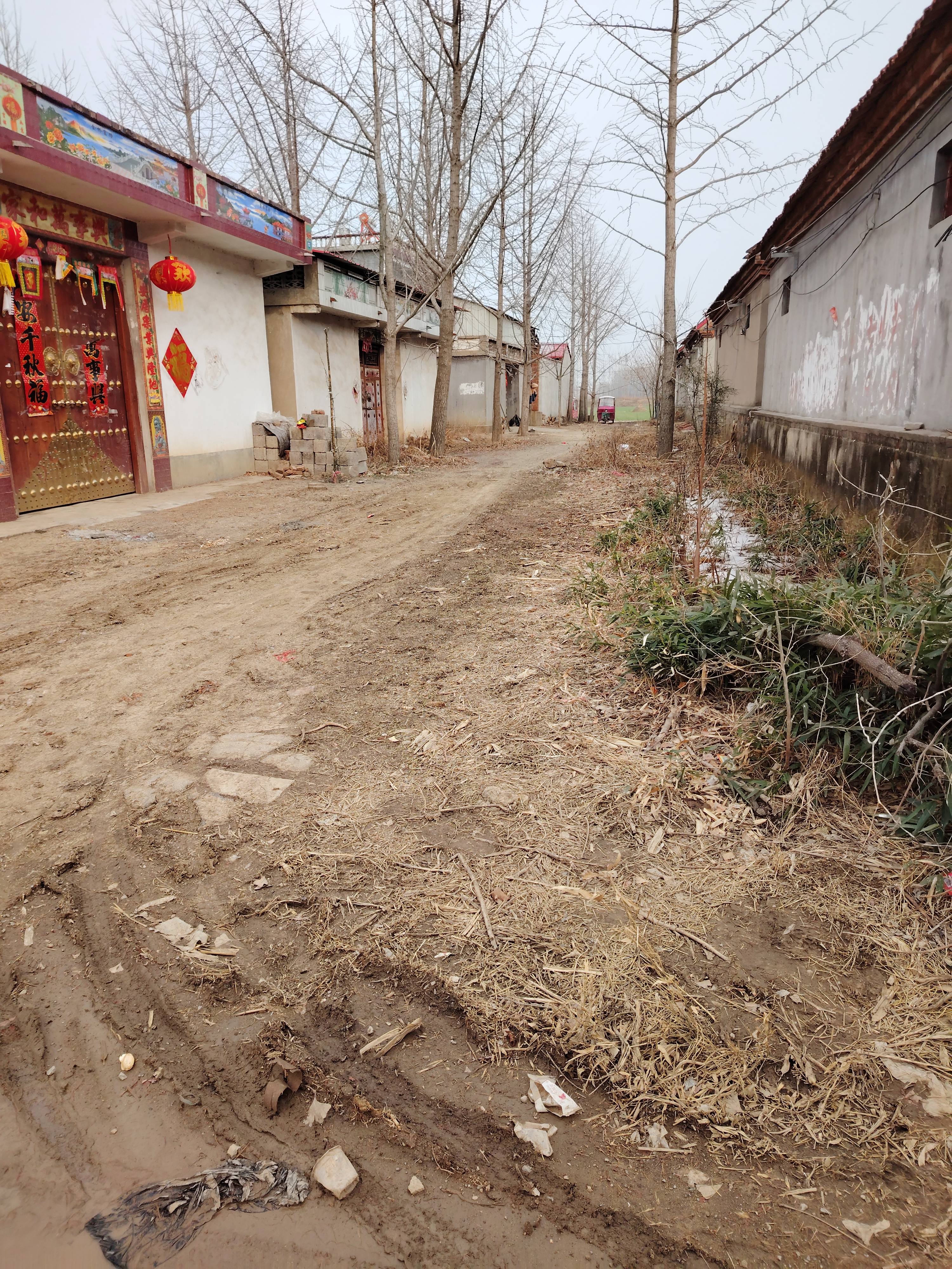 中国农村街道照片图片