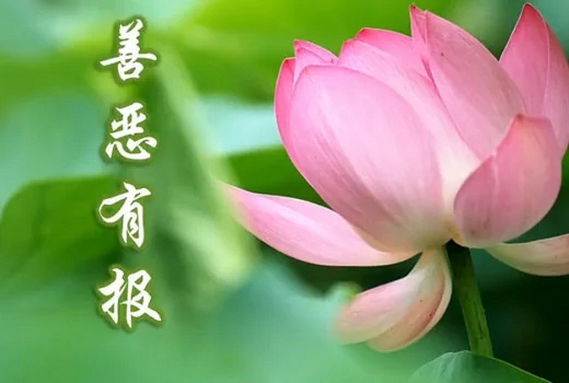 善恶到头终有报,只争来早与来迟. 损人害物害自己,劝君莫要半念迷.
