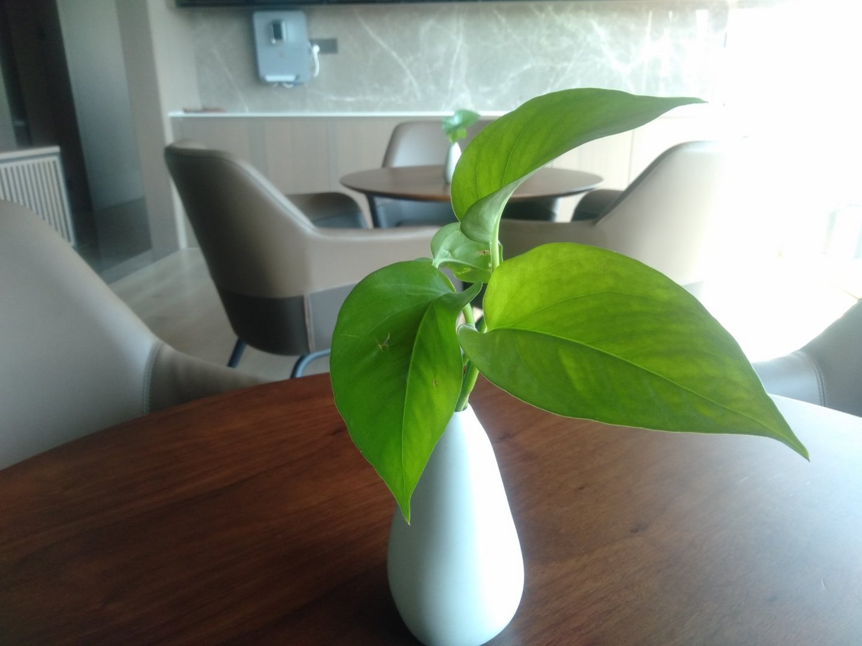 望着蓝天白云,面朝大海,就这样静静地看着,望着,人生不是有对大成就