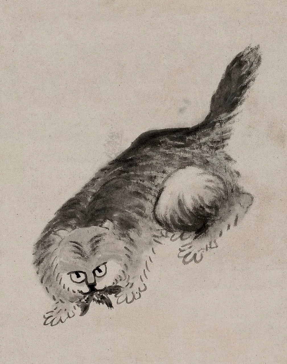 八大山人笔下的猫.#艺术生