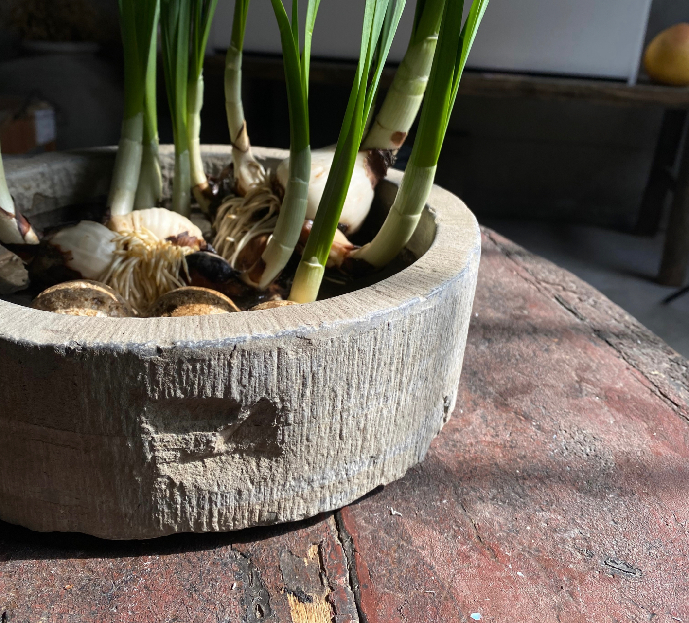 明代水仙盆,主打一个字"雅"#收藏