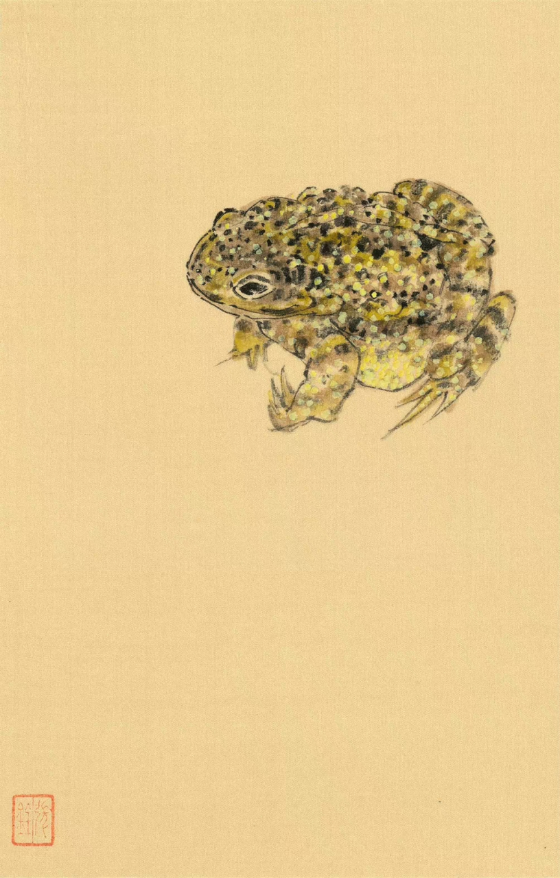 张铨国画  中国美术学院中国画系副主任 中国美术学院教授,硕士研究生