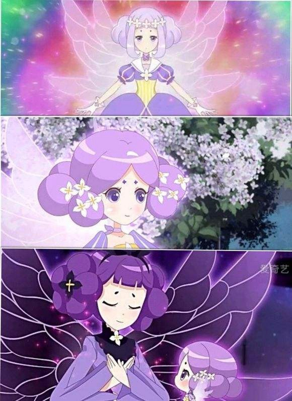 丁香花精灵王百结的"进化史"