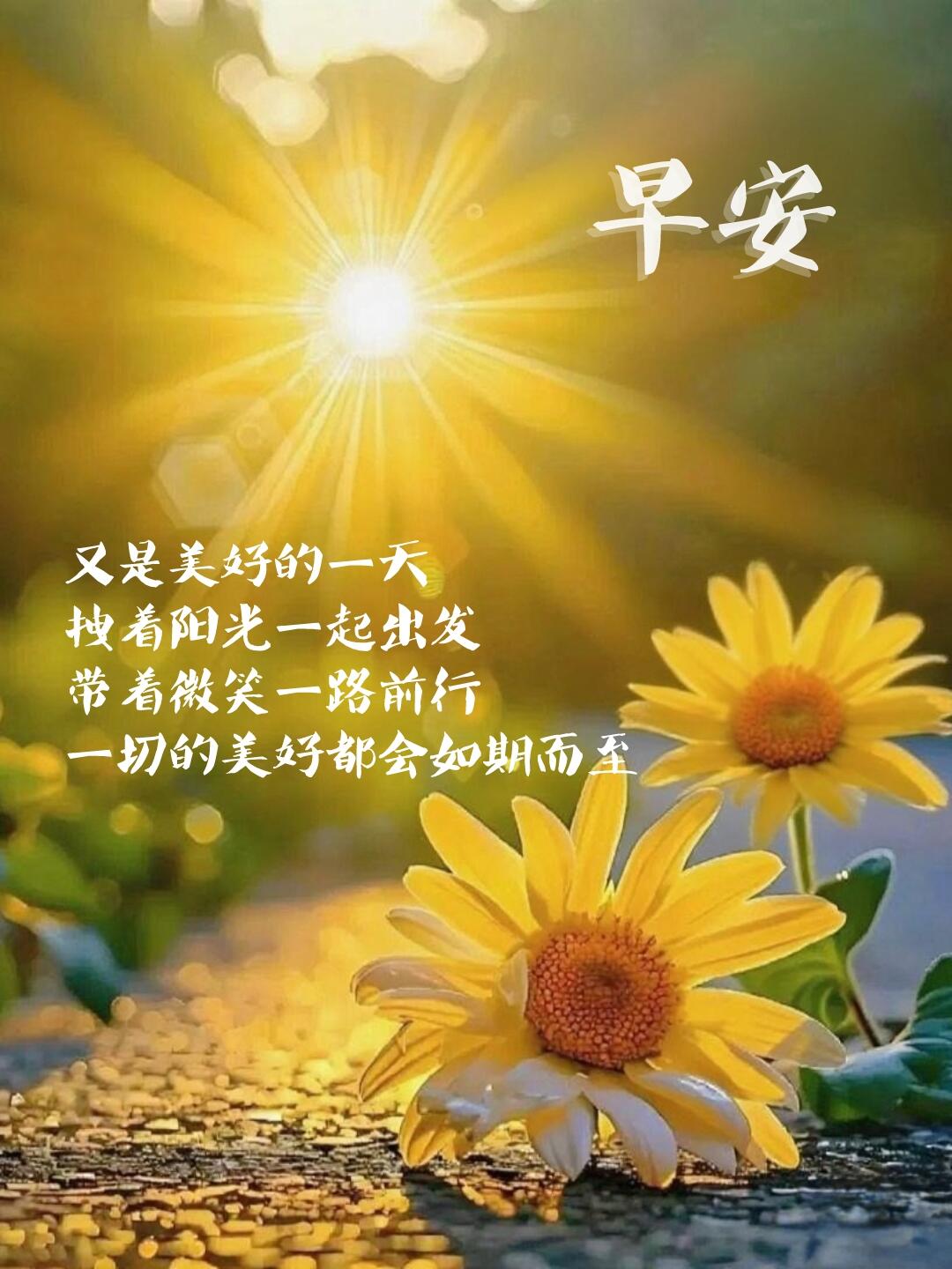 一苦一甜是生活 一朝一夕是日子,早呀特别暖的早安图片早上好文案