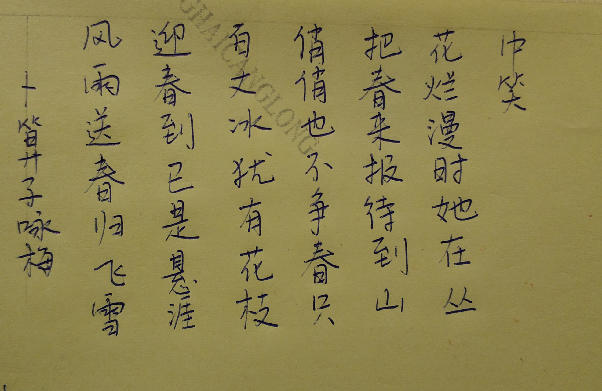 待到山花烂漫时她在丛中笑