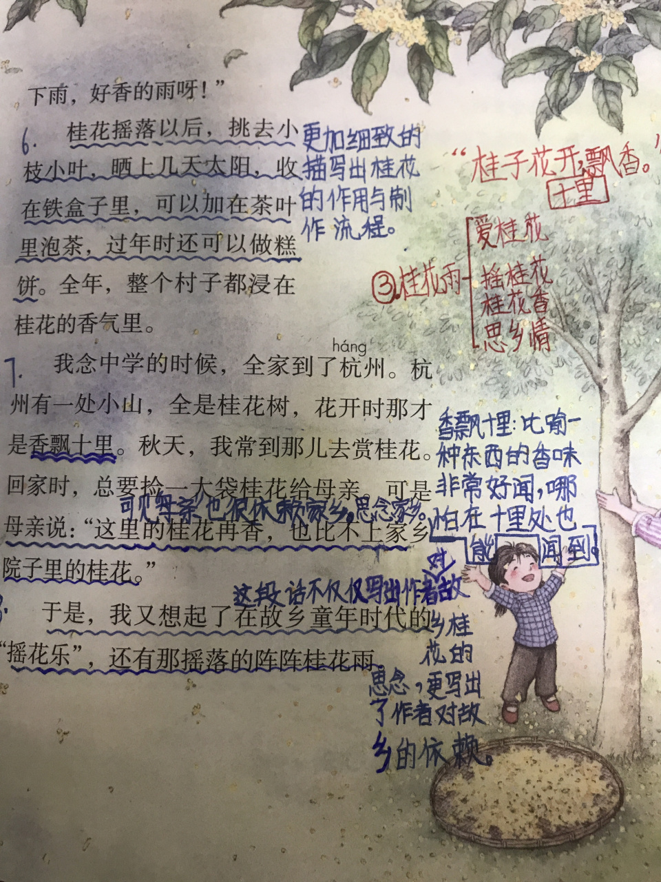 课文《桂花雨》批注,可能不好,见谅(下载原图更好)