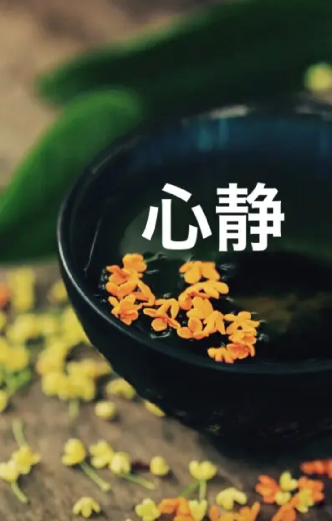 大道至简,简单低调的安静才是世界的本质!