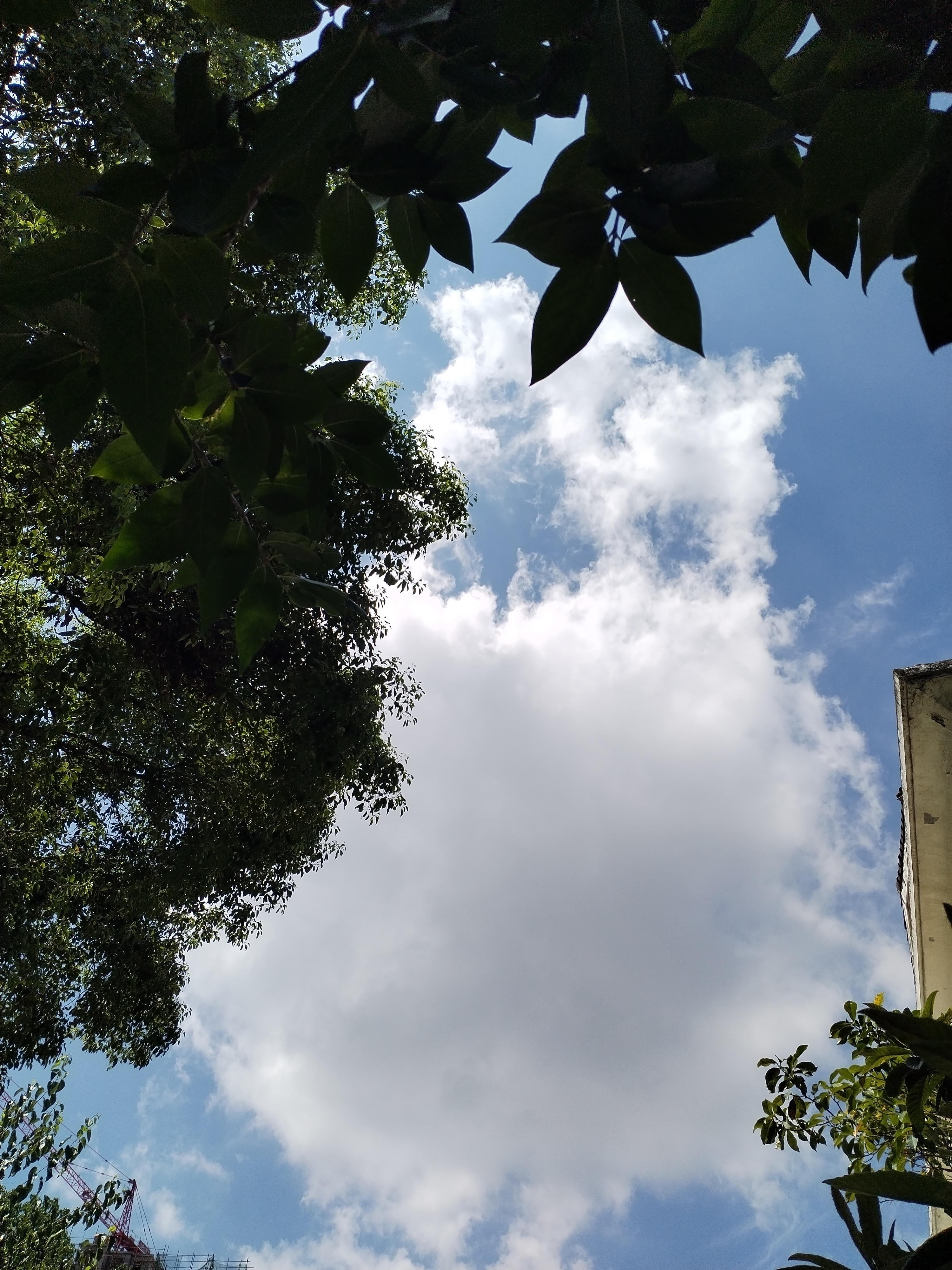 一年四季,只有夏天才能看见湛蓝的天空和堆积如山的白云.