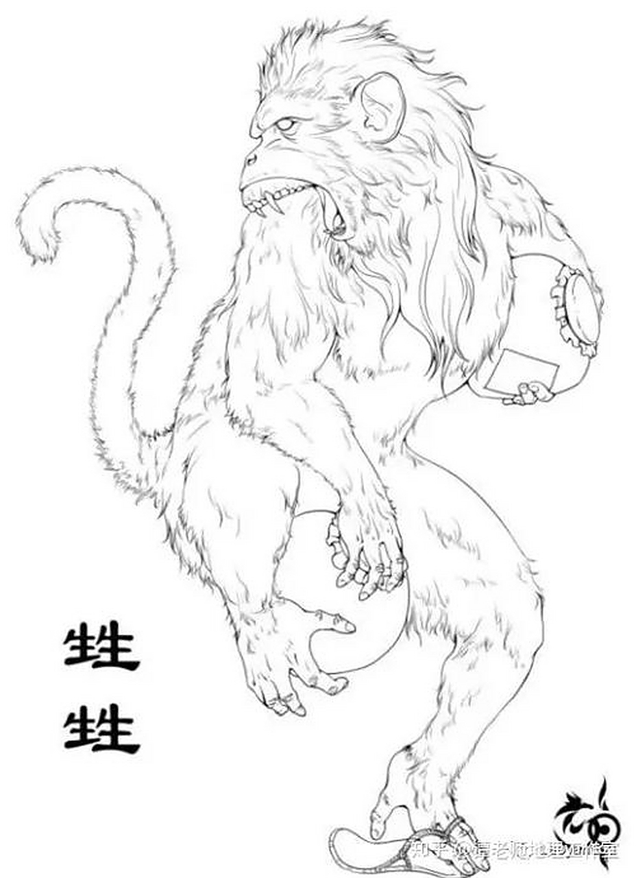 《山海经》第3天:《南山一经》:招摇山—狌狌  狌狌(xing,一声) 原文