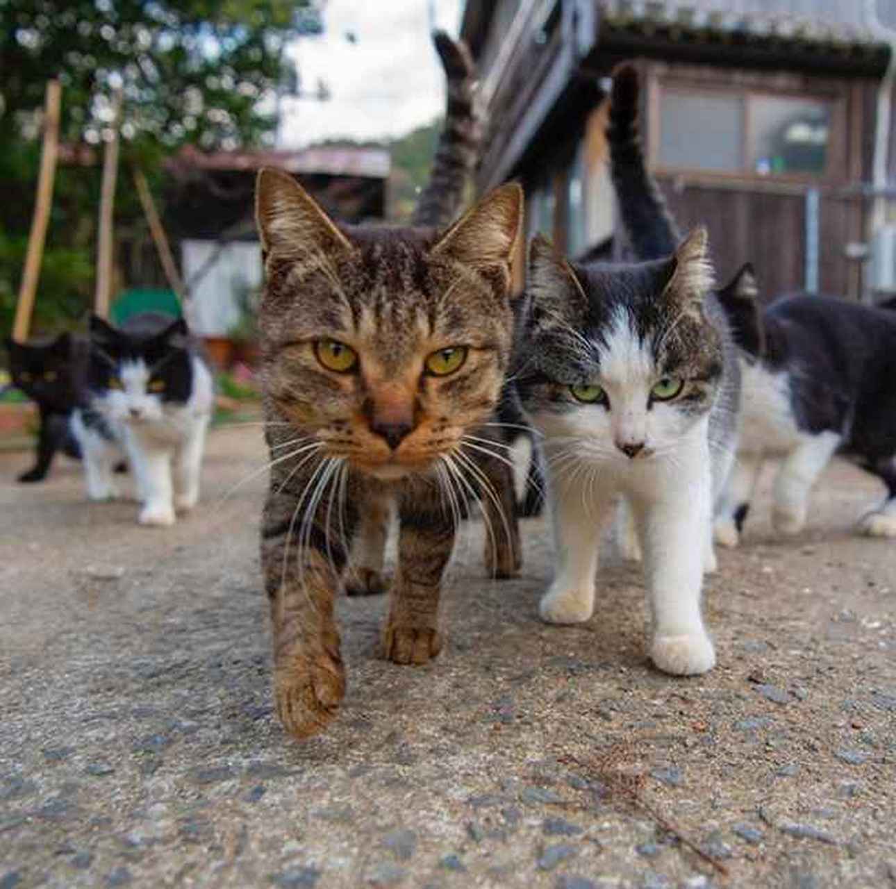 最特么讨厌做事磨磨蹭蹭的人 搞得劳资火气蹭蹭往上窜 特么的   啊啊