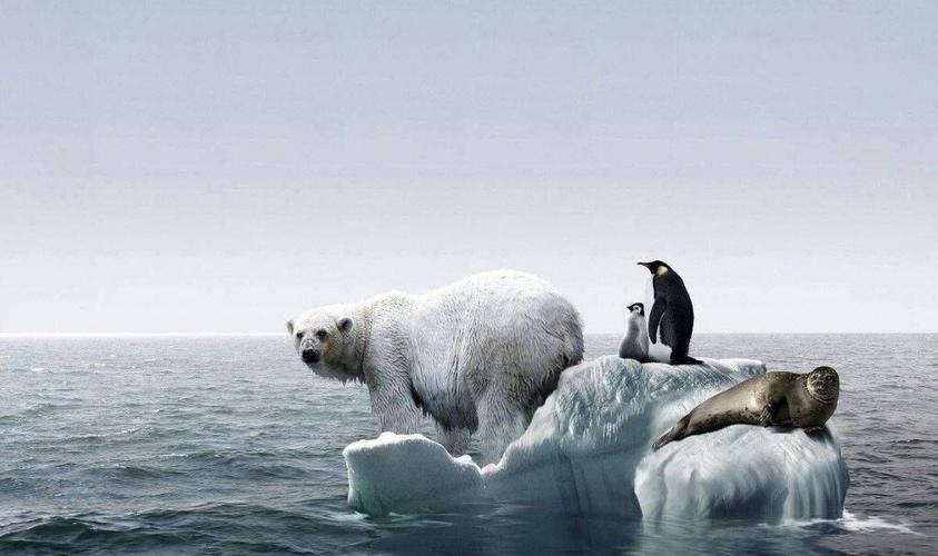 温室效应对人类及地球的影响  大家好,今天我想和大家分享一下关于温