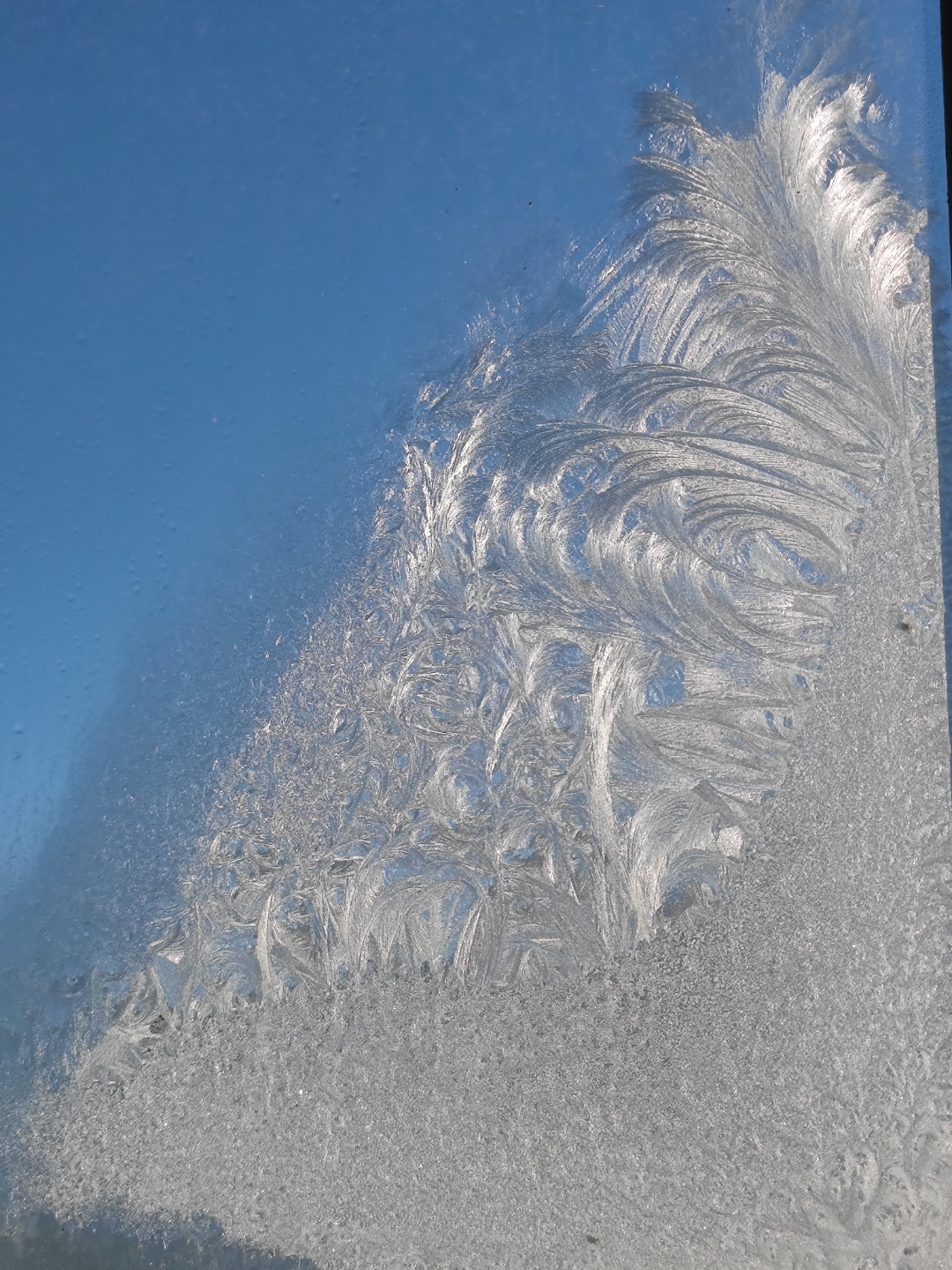 大自然的神奇冰冻窗花