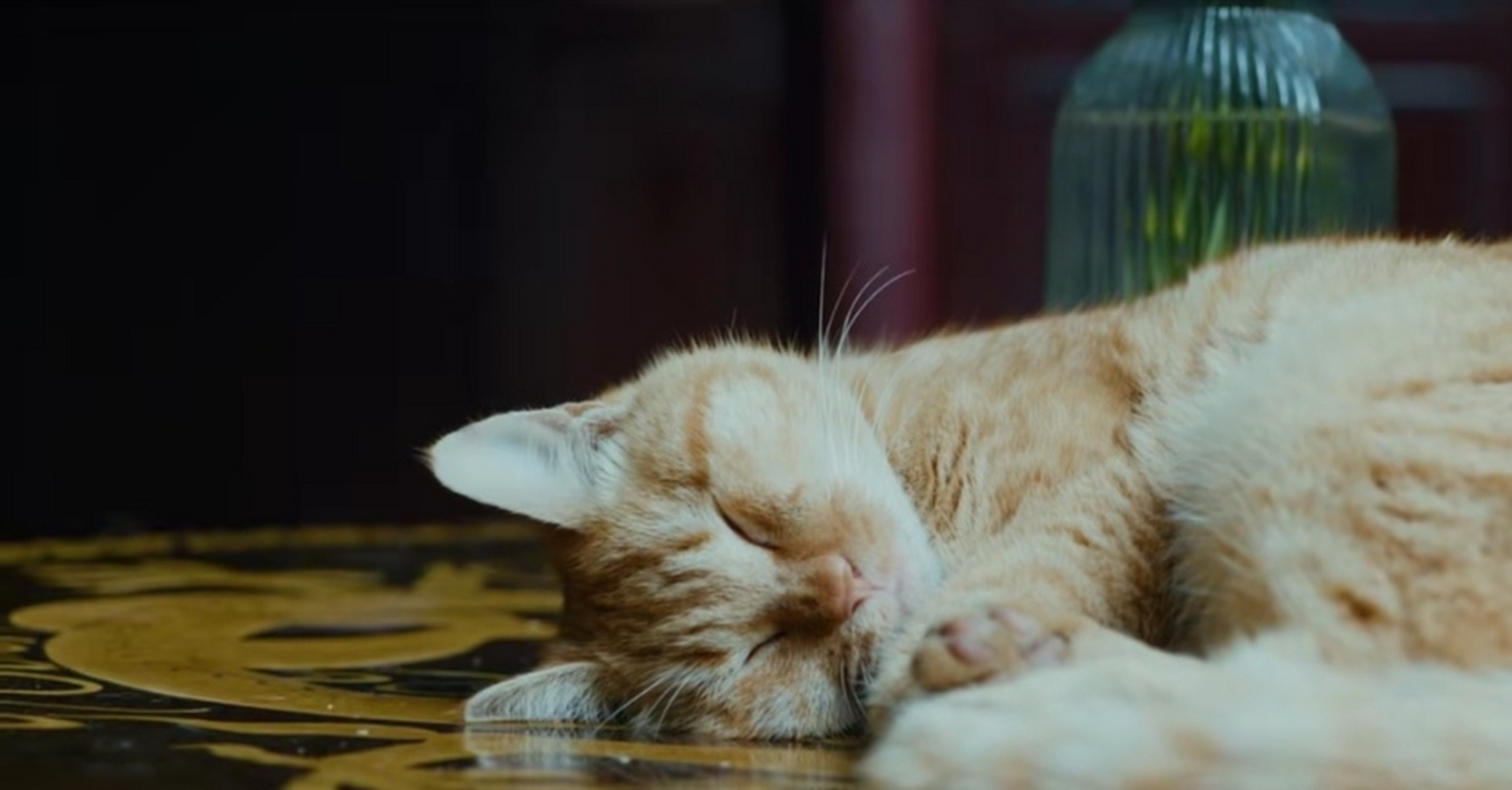 水瓶座(水瓶男和狮子女真实内心才是水瓶座)  水瓶的形象就是静定