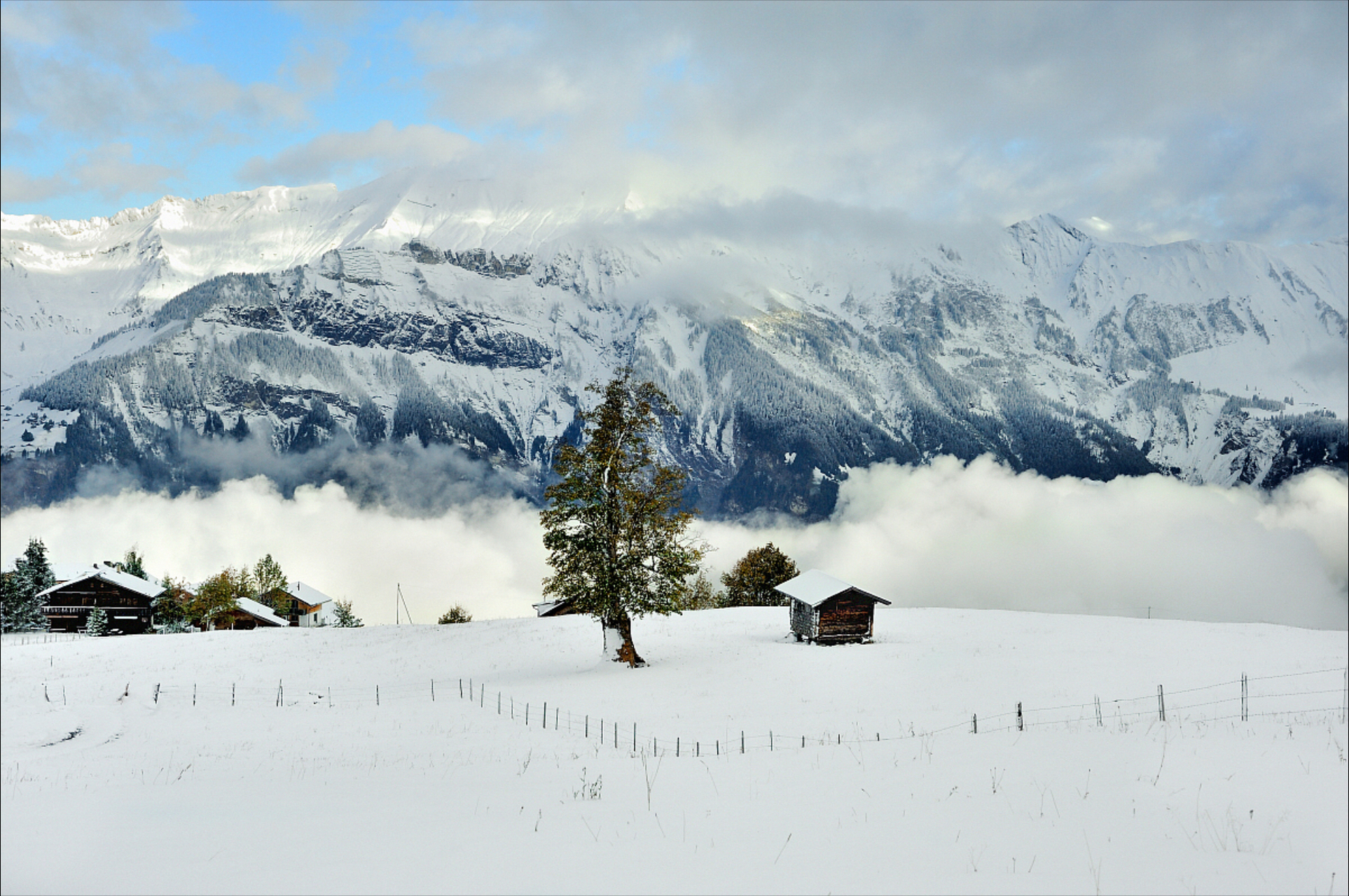 阿尔卑斯山的雪景,如诗如画,令人心醉.