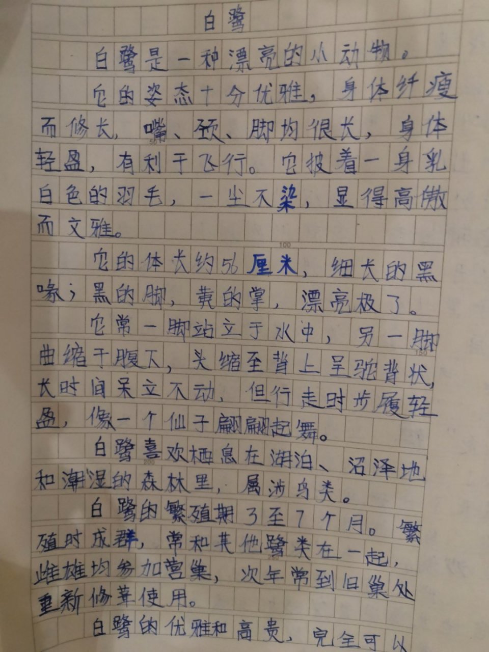 关于白鹭2-5段改写成说明文五年级的信息