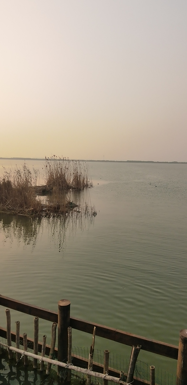 阳澄湖半岛美景