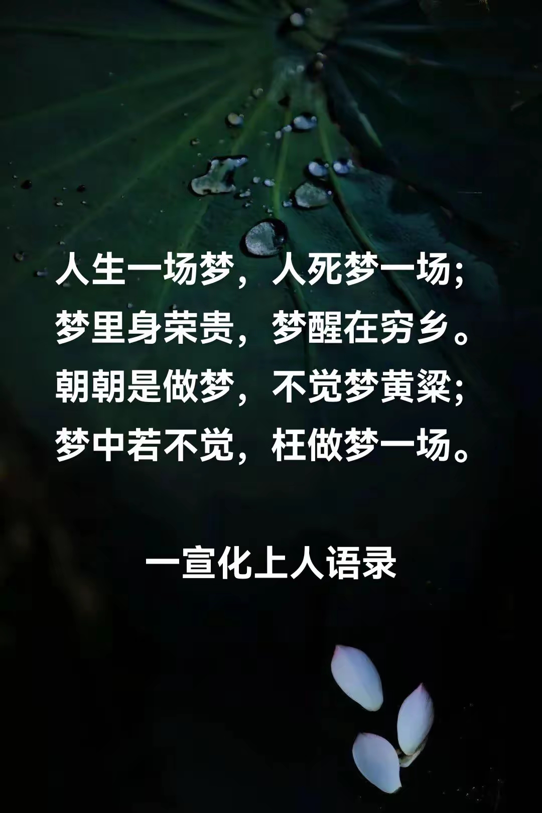 宣化上人法语