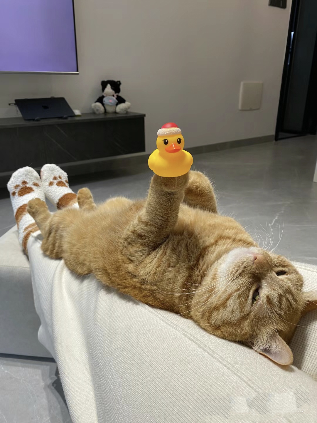 这只小猫好舒服呀,躺在白色的沙发上,伸直了前爪,好像在跟黄色的小