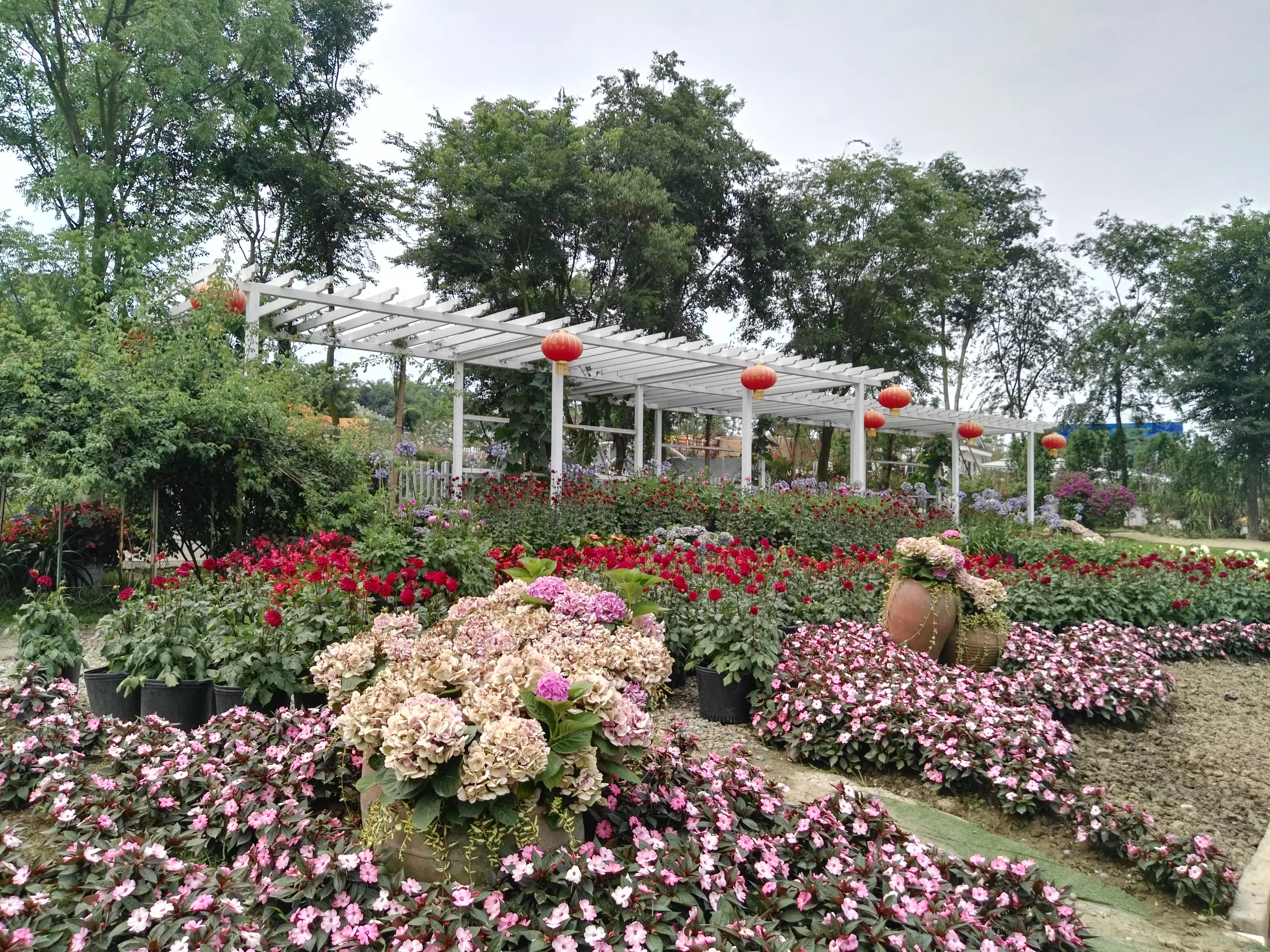 92成都95探店|假装自己在巴黎98 78成都漫花庄园,现实中的